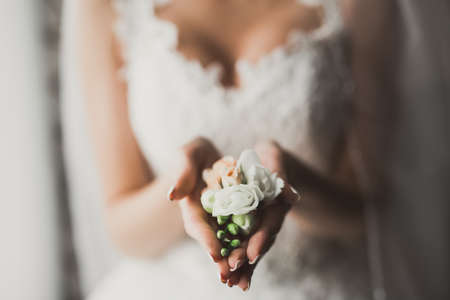 Gorgeous bride in robe posing and preparing for the wedding ceremony face in a roomの写真素材