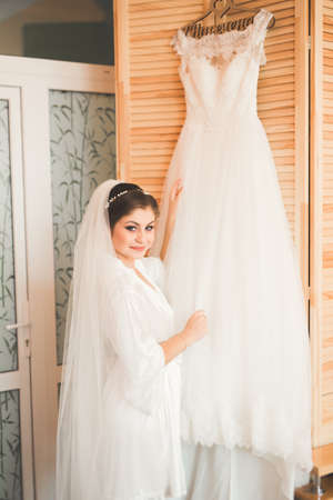Beautiful bride wearing fashion wedding dress with feathers with luxury delight make-up and hairstyle, studio indoor photo shootの写真素材
