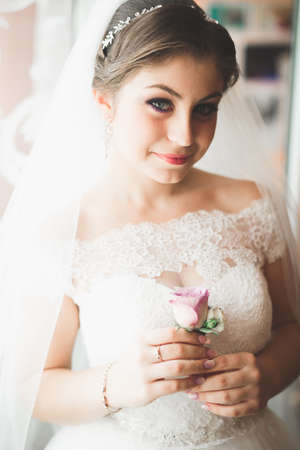 Beautiful bride wearing fashion wedding dress with feathers with luxury delight make-up and hairstyle, studio indoor photo shootの写真素材
