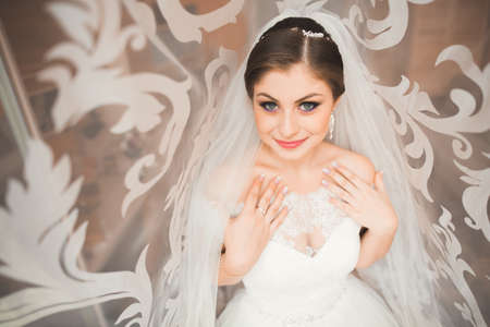 Beautiful bride wearing fashion wedding dress with feathers with luxury delight make-up and hairstyle, studio indoor photo shootの写真素材