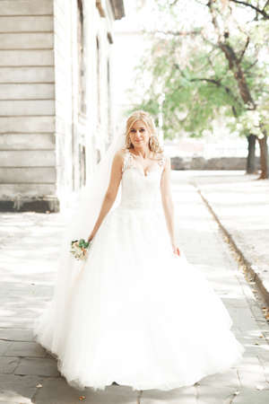 Beautiful bride spinning with perfect dress in the parkの写真素材