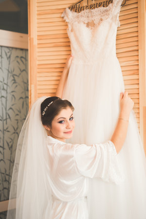 Beautiful bride wearing fashion wedding dress with feathers with luxury delight make-up and hairstyle, studio indoor photo shootの写真素材