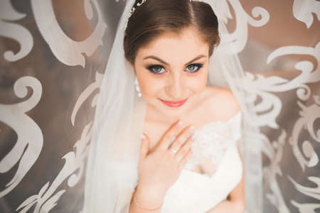 Beautiful bride wearing fashion wedding dress with feathers with luxury delight make-up and hairstyle, studio indoor photo shootの写真素材