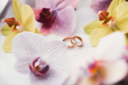 Two golden wedding rings isolated background conceptの写真素材