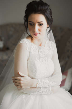 Beautiful bride wearing fashion wedding dress with feathers with luxury delight make-up and hairstyle, studio indoor photo shootの写真素材