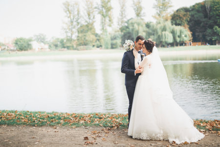 Romantic, fairytale, happy newlywed couple hugging and kissing in a park, trees in backgroundの写真素材