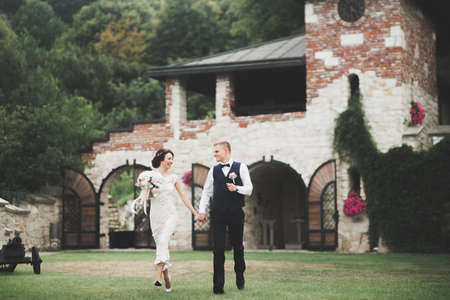Wedding couple bride and groom holding handsの写真素材