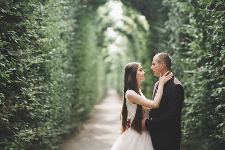 Luxury wedding couple, bride and groom posing in the city of Viennaの写真素材