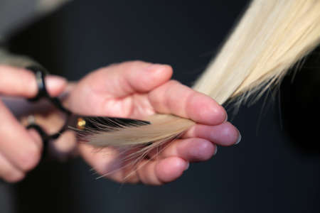 Woman hairdresser cuts the blonde hair, scissors in female hands close up. Haircut concept, barber shopの写真素材