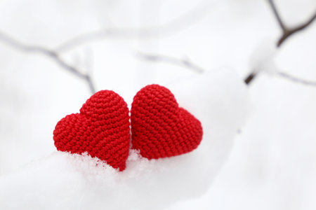 Valentine hearts in winter forest, cold weather. Two red knitted hearts on snow covered branch, symbol of romantic love, background for holidayの写真素材