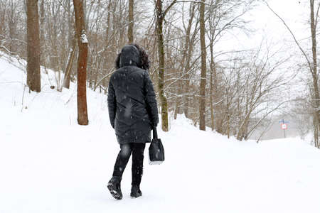 Snowfall in winter park, lonely girl in black down jacket walking in cold weather. View to snow covered trees during blizzardの写真素材