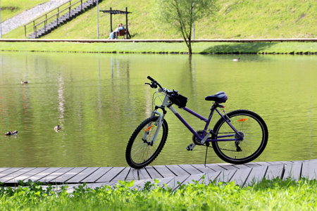 Bicycle parked on the lake shore with ducks. Travel on nature and leisure in summer park