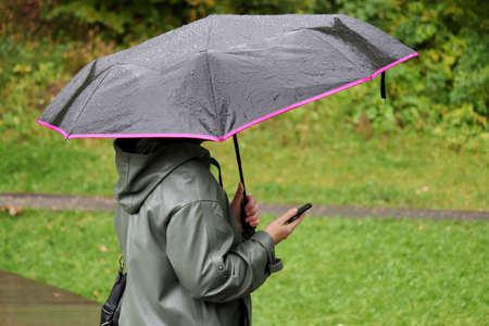 Rain in a city, woman with umbrella standing in autumn park with smartphone in hand. Rainy weather,...