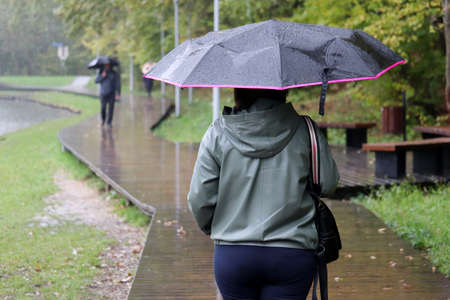 Rain in a city, woman with black umbrella walking in autumn park on people background. Rainy weather, heavy rainfallの写真素材