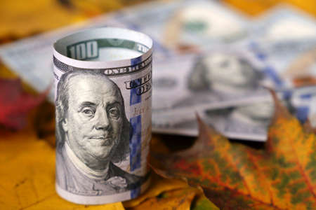 US dollar banknotes on yellow maple leaves. American economy at autumn, dollar rateの写真素材