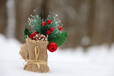 Christmas decorations in the snow on winter forest background. Canvas bag with New Year tree, pine cone and red berries, greeting cardの写真素材
