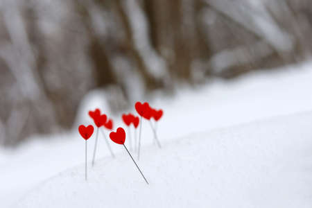 Red hearts on a snow on winter forest background. Greeting card, romantic love, Valentine's dayの写真素材