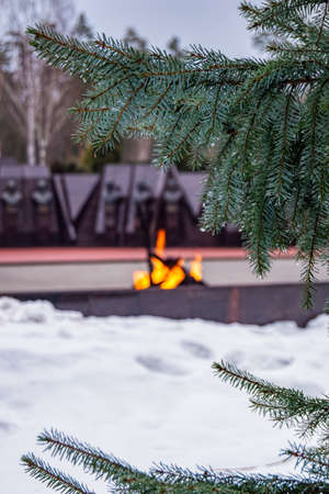 A field of ripe wheat against a blue sky. A path in an agricultural field of ripe grain crops. Harvest. Wheat on the background of the sky with clouds, a field of ripe wheat ears of Golden color.の写真素材