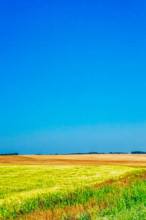 Mowed field in the evening. Agricultural landscape on a sunny summer day. Summer in the countryの写真素材