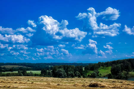 Cleared scene of blue sky and green grass field only nature. Concept or conceptual green fresh summer or spring grass field of blue sky, metaphor of nature, season, countryside, farmland, outdoor, environment, pasture, growth conservationの写真素材