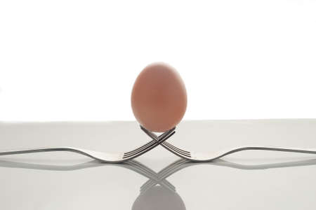 Creative composition of two forks and an egg isolated on a white background