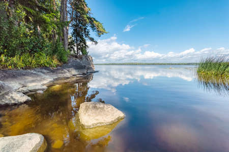 Monrepos Park on a warm summer day. Museum-reserve with its Hiking trails, the estate and family of mon repos cemetery.の写真素材