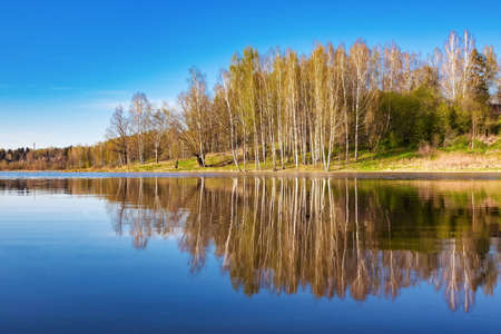 Beautiful spring landscape. Reflection of the blue cloudless sky and trees in the calm water of a forest lakeの写真素材