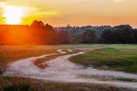 A dirt road at sunset, going into the forest on a summer evening. Summer forest landscape, trees, grass, greenery, illuminated by the sun, a dirt road stretching into the distance.の写真素材