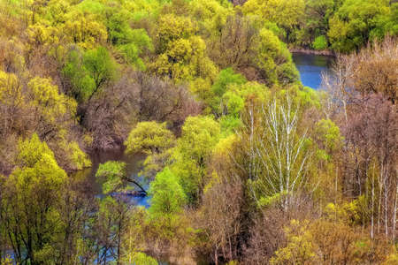 abstract background of tree crowns through which the riverbed makes its wayの写真素材
