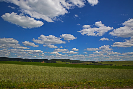 Rural landscape cereal field and blue skyの写真素材