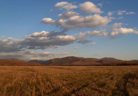 Evening landscape       
