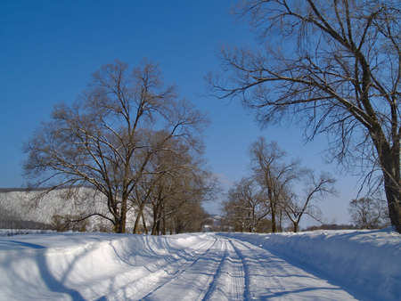 Winter landscape with snow-clad expensive and wood    の写真素材