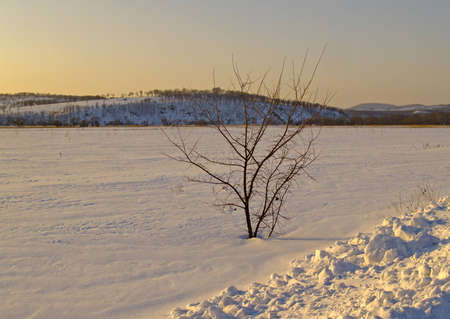 Winter landscape with snow-clad fields  の写真素材