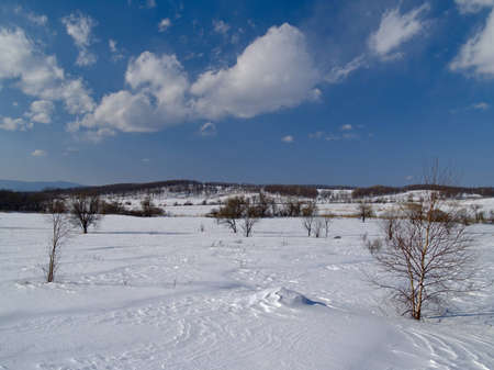 The Winter landscape on edge of a meadow beside hillsの写真素材
