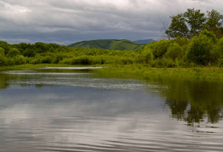 Spring landscape with timber stream at dull dayの写真素材