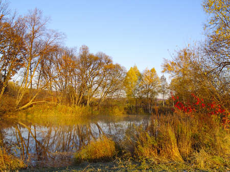 Autumn landscape a sunny day at wood lakeの写真素材