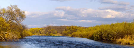 Autumn landscape, river shallow with a bush on coast      