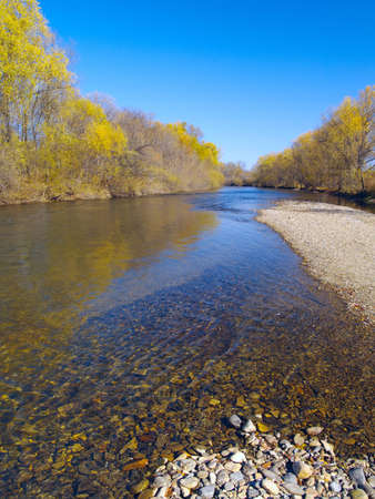 Autumn landscape on river bank in a sunny day