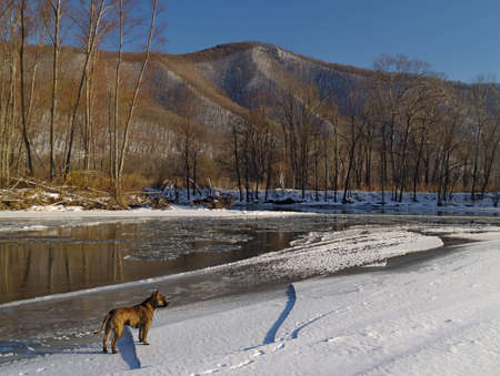 Winter landscape with the river at a mountain slopeの写真素材