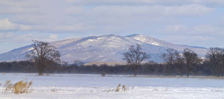 Winter landscape with a blizzard at the earthの写真素材