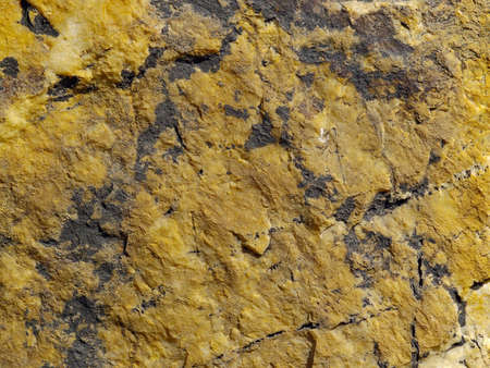Natural background from surface of a stone monolithの写真素材
