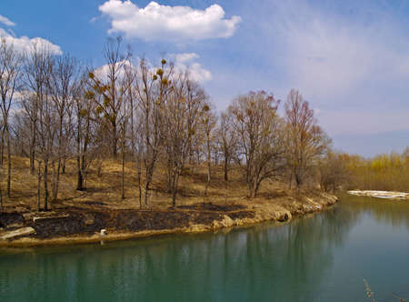 Sunny day on the bank of spring small river