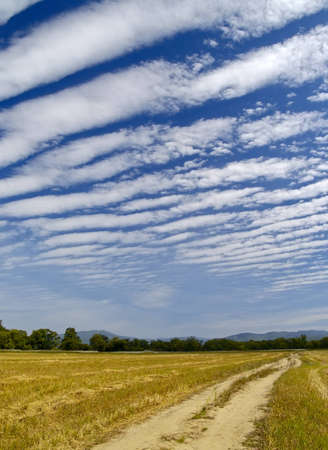 Clouds of unusual form over the cleaned wheaten field   