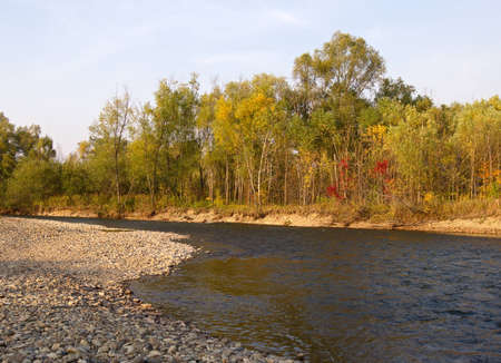 Autumn in the evening on bank of small river