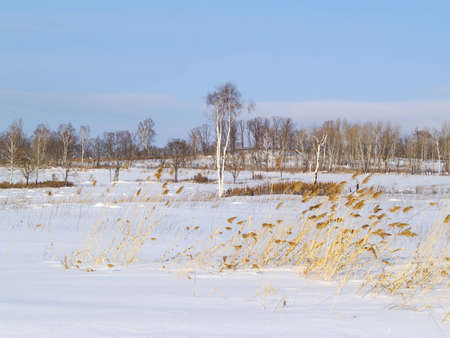 Winter landscape, snow-covered slope of a hillの写真素材