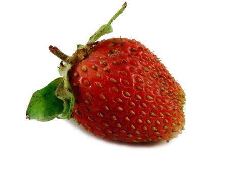 Strawberry                        の写真素材