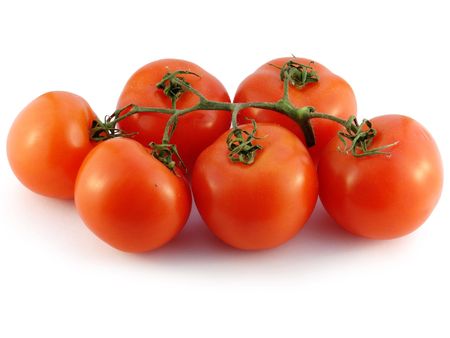             Tomato                       の写真素材