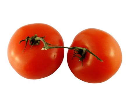                     Tomato                の写真素材