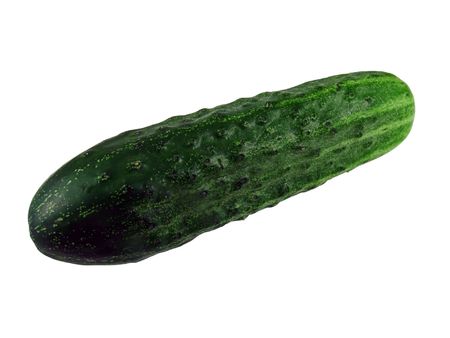               Cucumber                 の写真素材