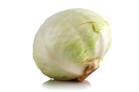 Fresh, raw cabbage on a white backgroundの写真素材